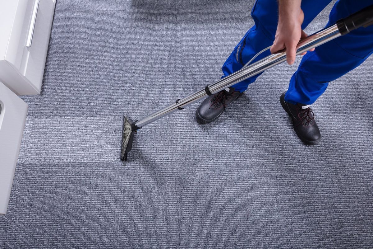 Why Professional Carpet Cleaning is Essential for Pet Owners