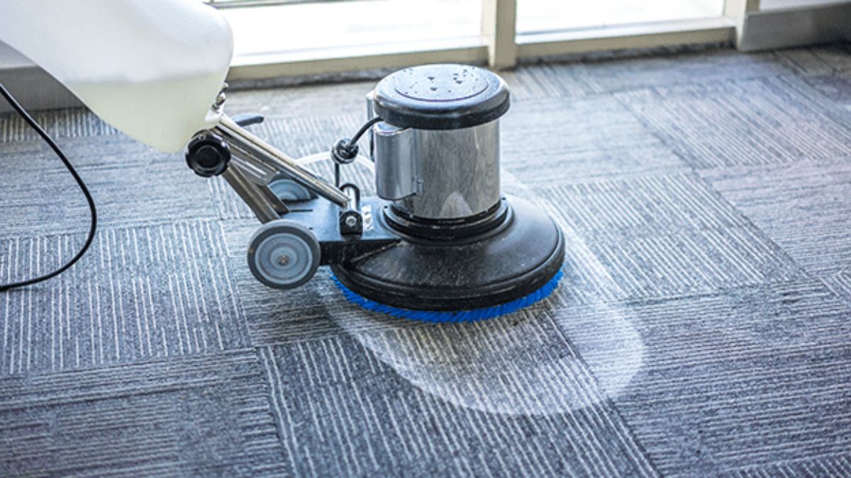 Why Should You Consider Professional Commercial Carpet Cleaning